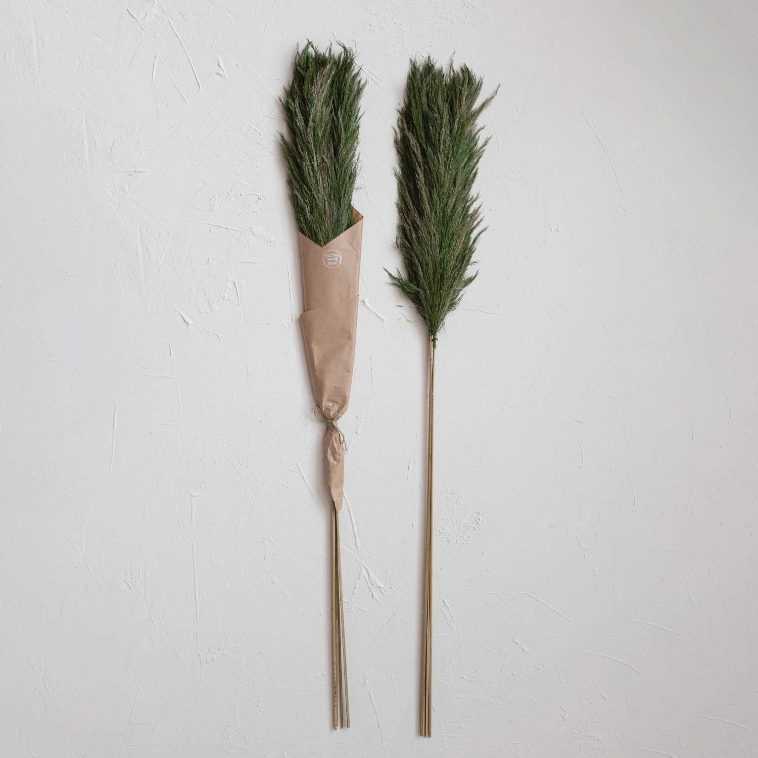 Dried Natural Velvet Grass Bunch, Green, Set Of 4