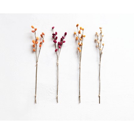 Creative Co-Op Dried Natural Rose Stem Bunch - The Workroom